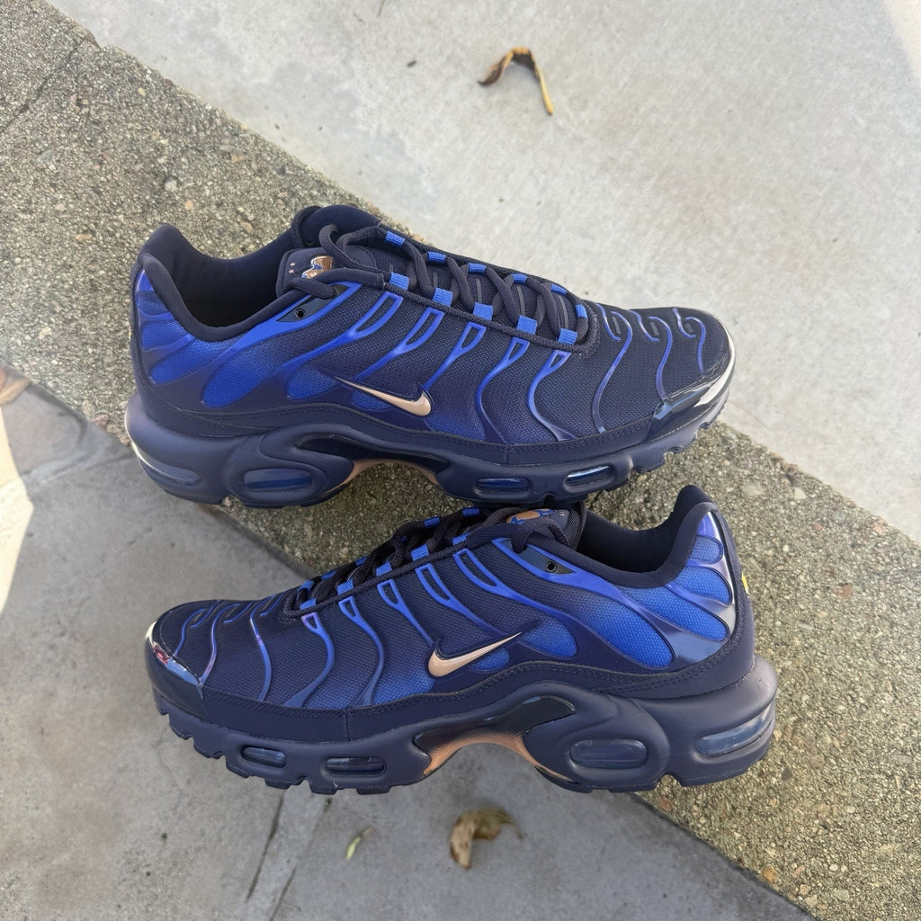 Size 10 - Nike Air Max Plus OG French Football Federation