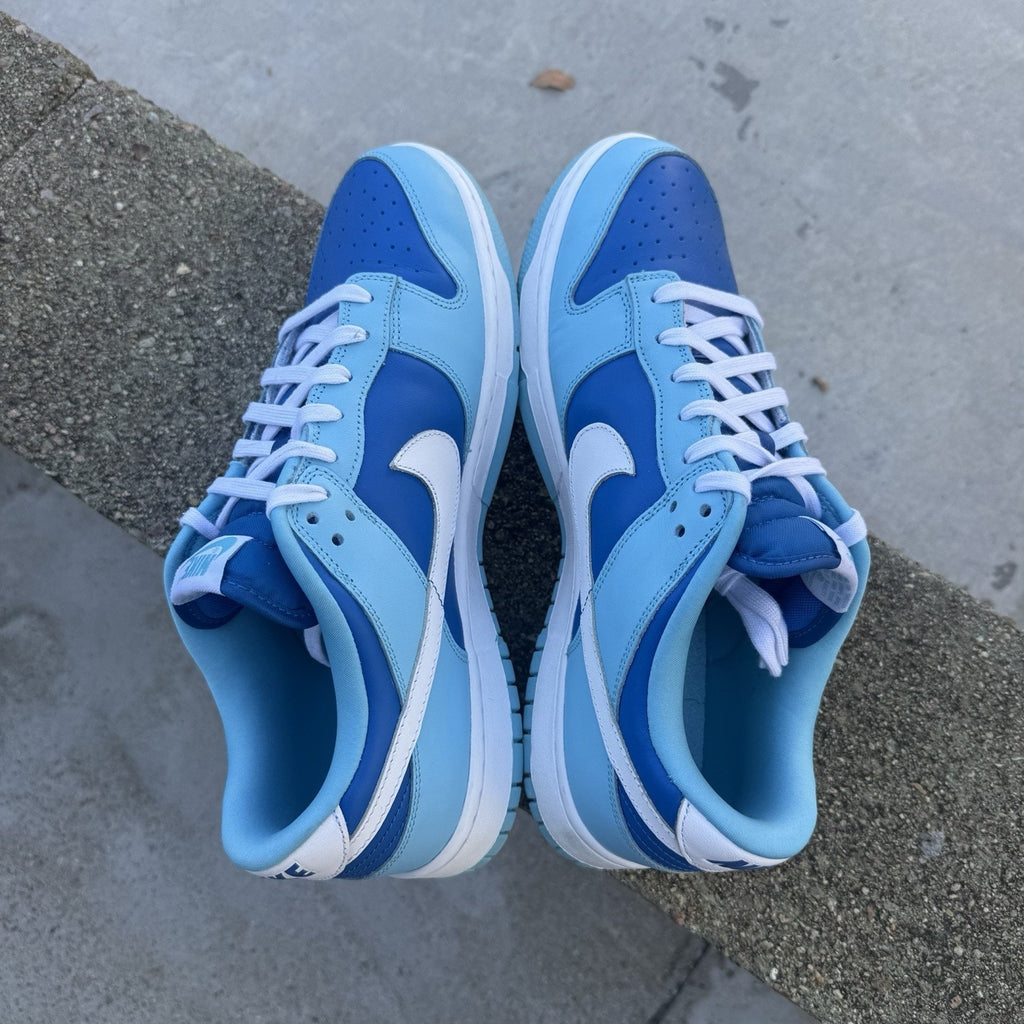 Size 10.5 - Nike Dunk Low Retro QS Argon