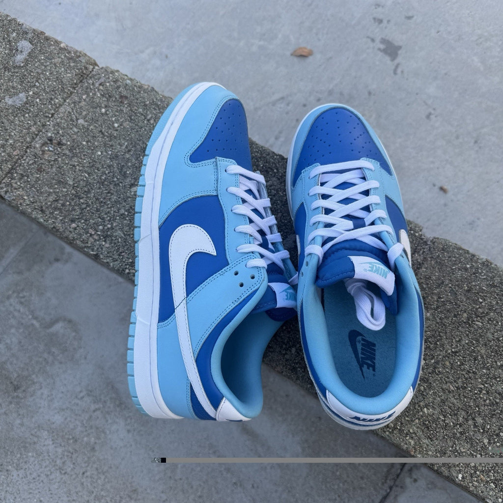 Size 10.5 - Nike Dunk Low Retro QS Argon