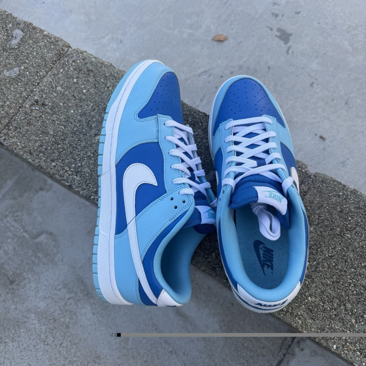 Size 10.5 - Nike Dunk Low Retro QS Argon