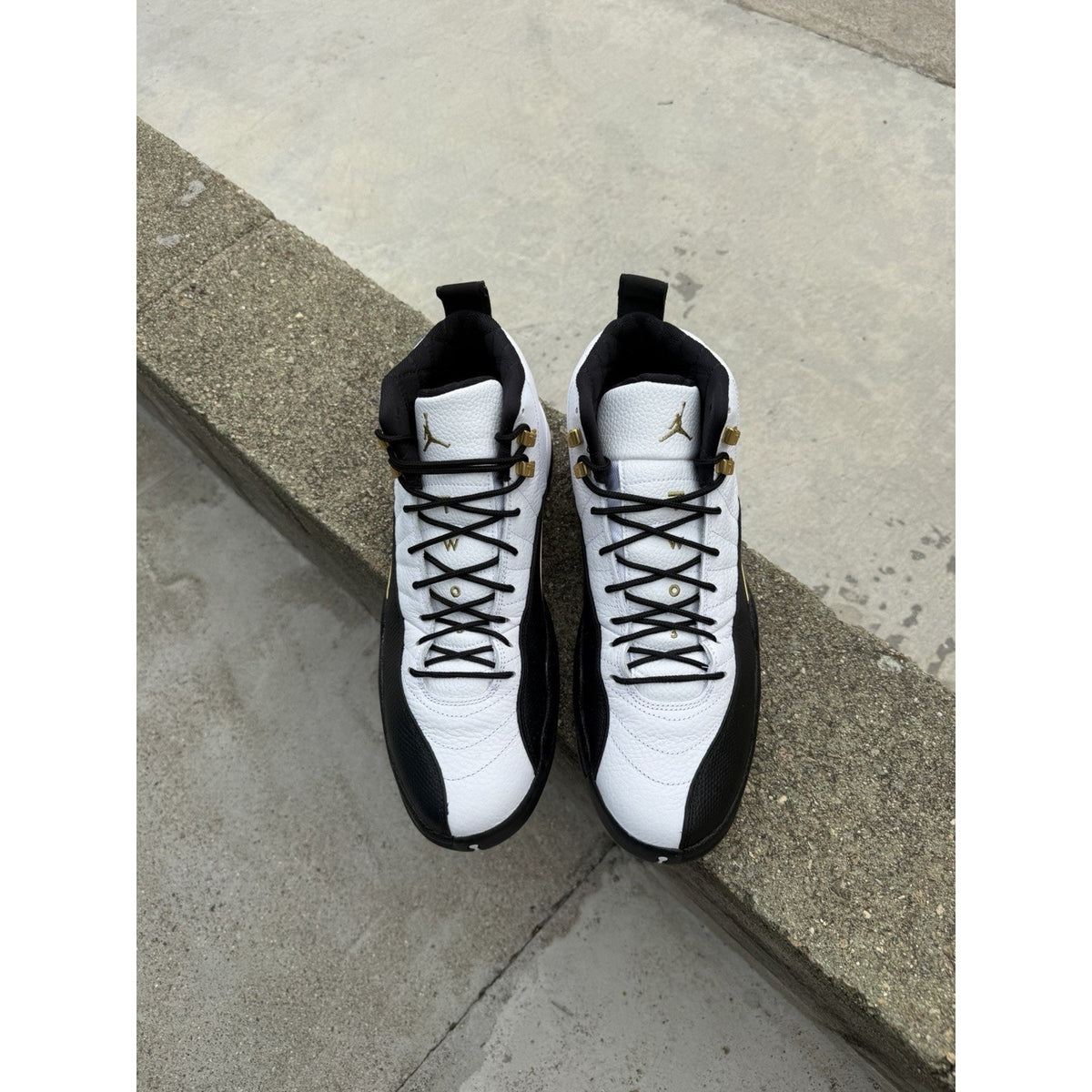 Size 13 - Jordan 12 Royalty