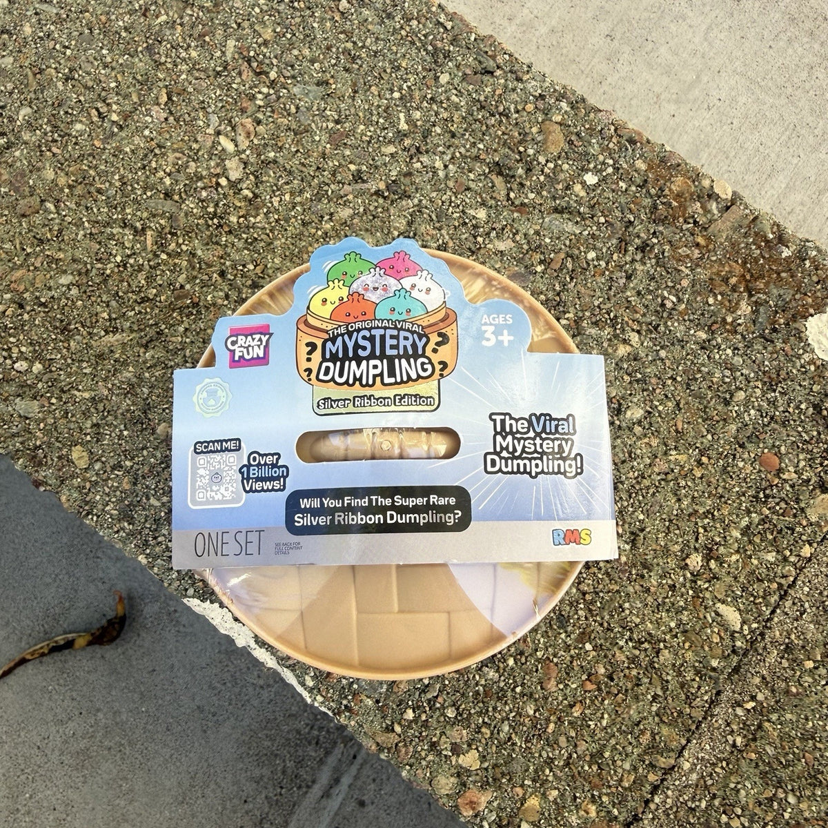The Original Viral Mystery Dumpling Squishy!
