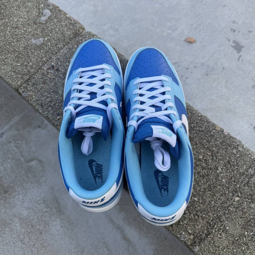 Size 10.5 - Nike Dunk Low Retro QS Argon