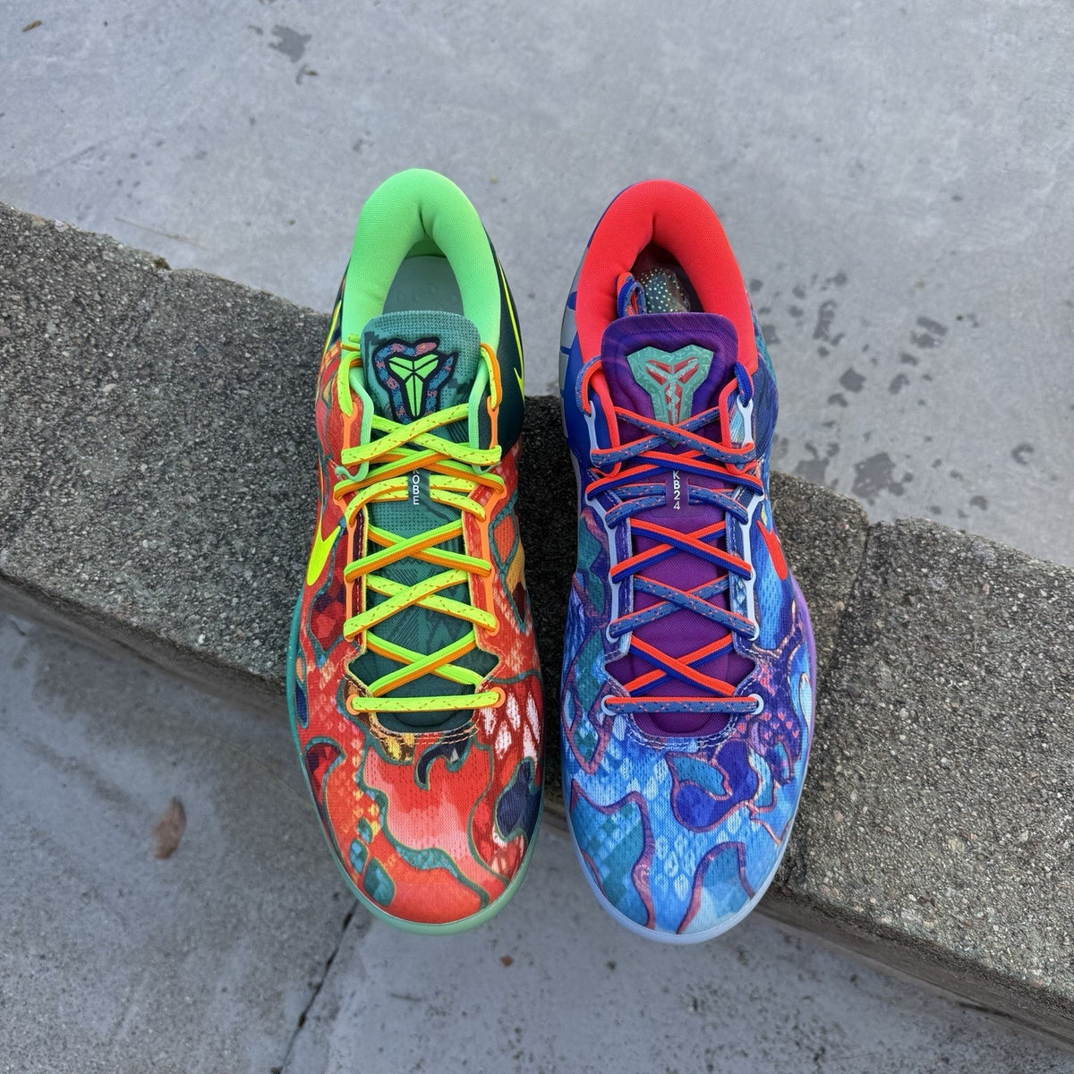 Size 13 - Kobe 8 Protro What The