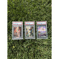 2023 PSA 9/10 Pokemon TCG Scarlet & Violet 151 Charizard, Charmeleon, Charmander