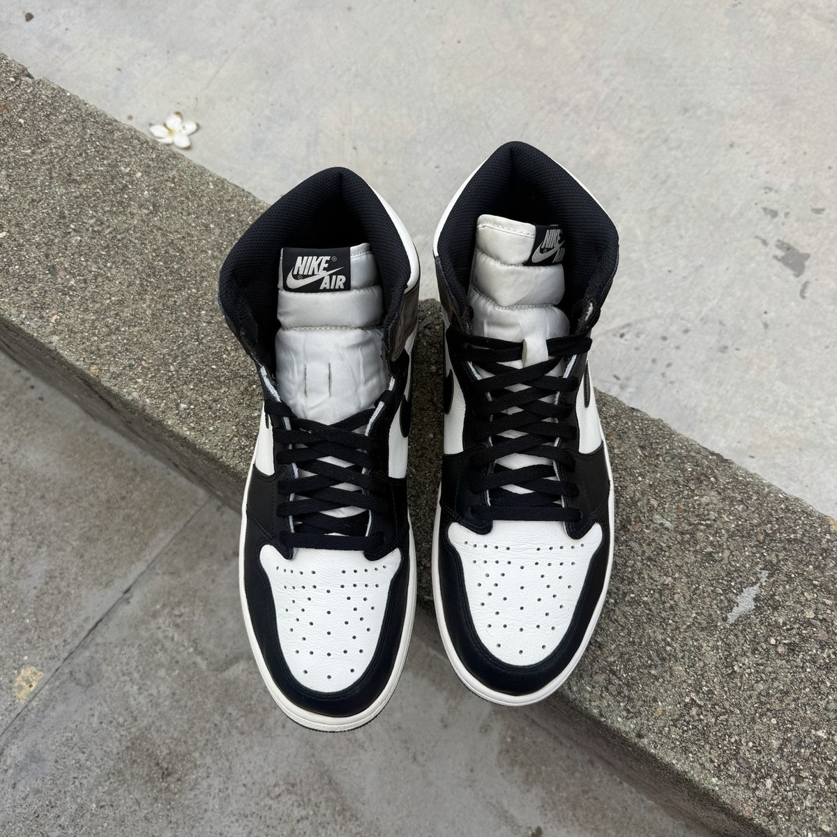 Size 13 - Jordan 1 Retro OG High Dark Mocha