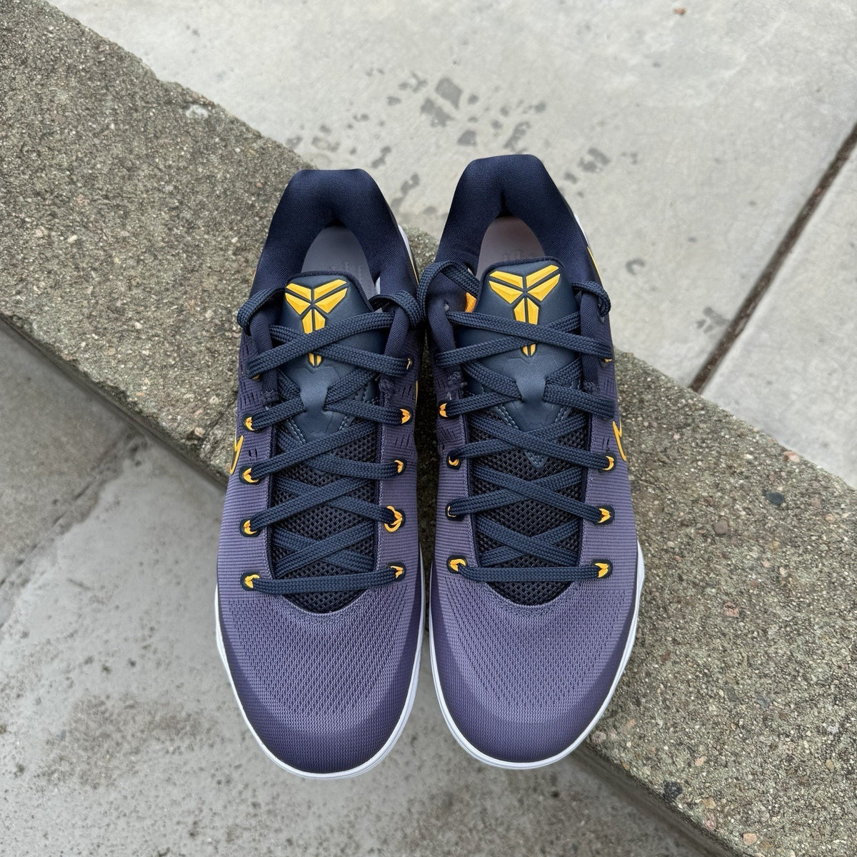 Size 12 - Kobe 9 EM Low Protro Fade