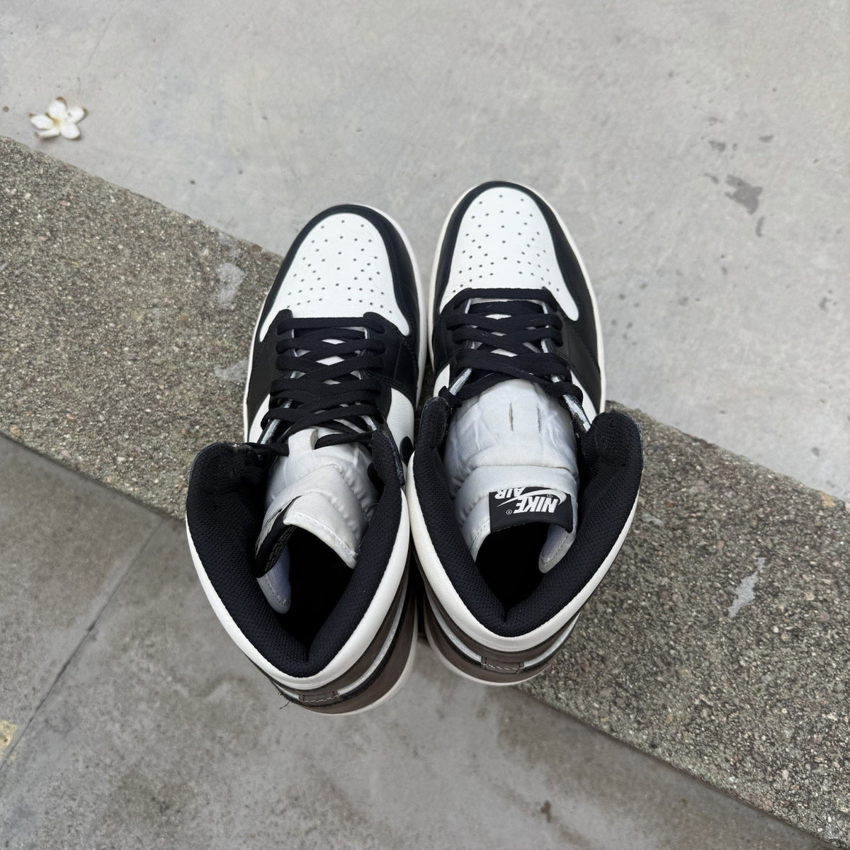 Size 13 - Jordan 1 Retro OG High Dark Mocha