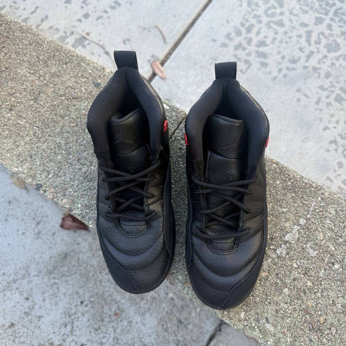 Size 13 (PS) - Air Jordan 12 Retro Bloodline