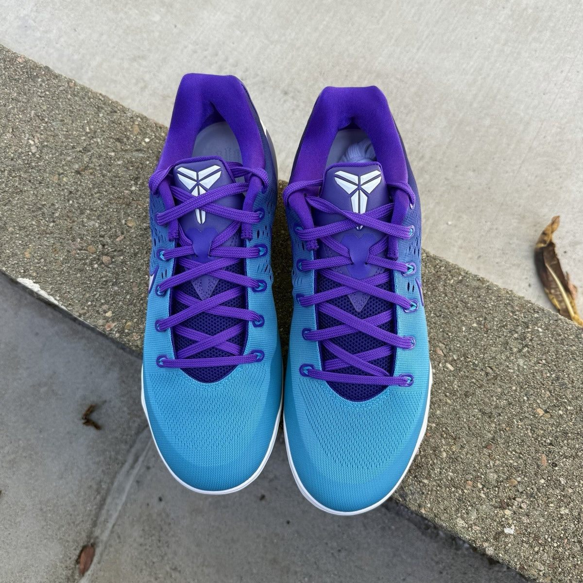 Size 10 - Nike Kobe 9 Elite Low Hornets