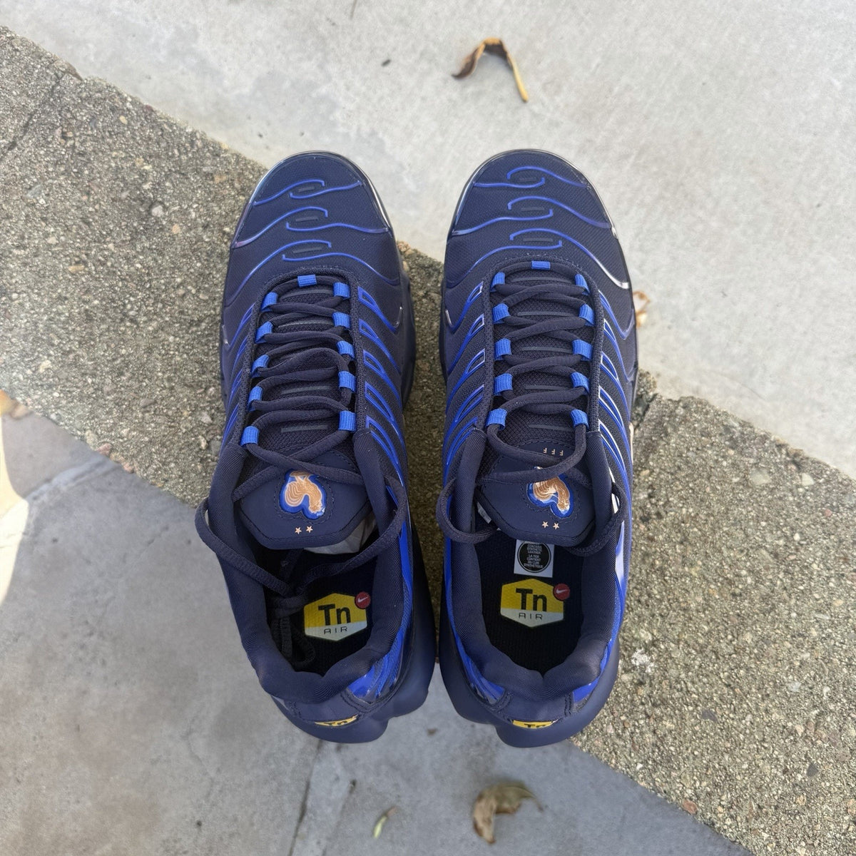 Size 8 - Nike Air Max Plus OG French Football Federation