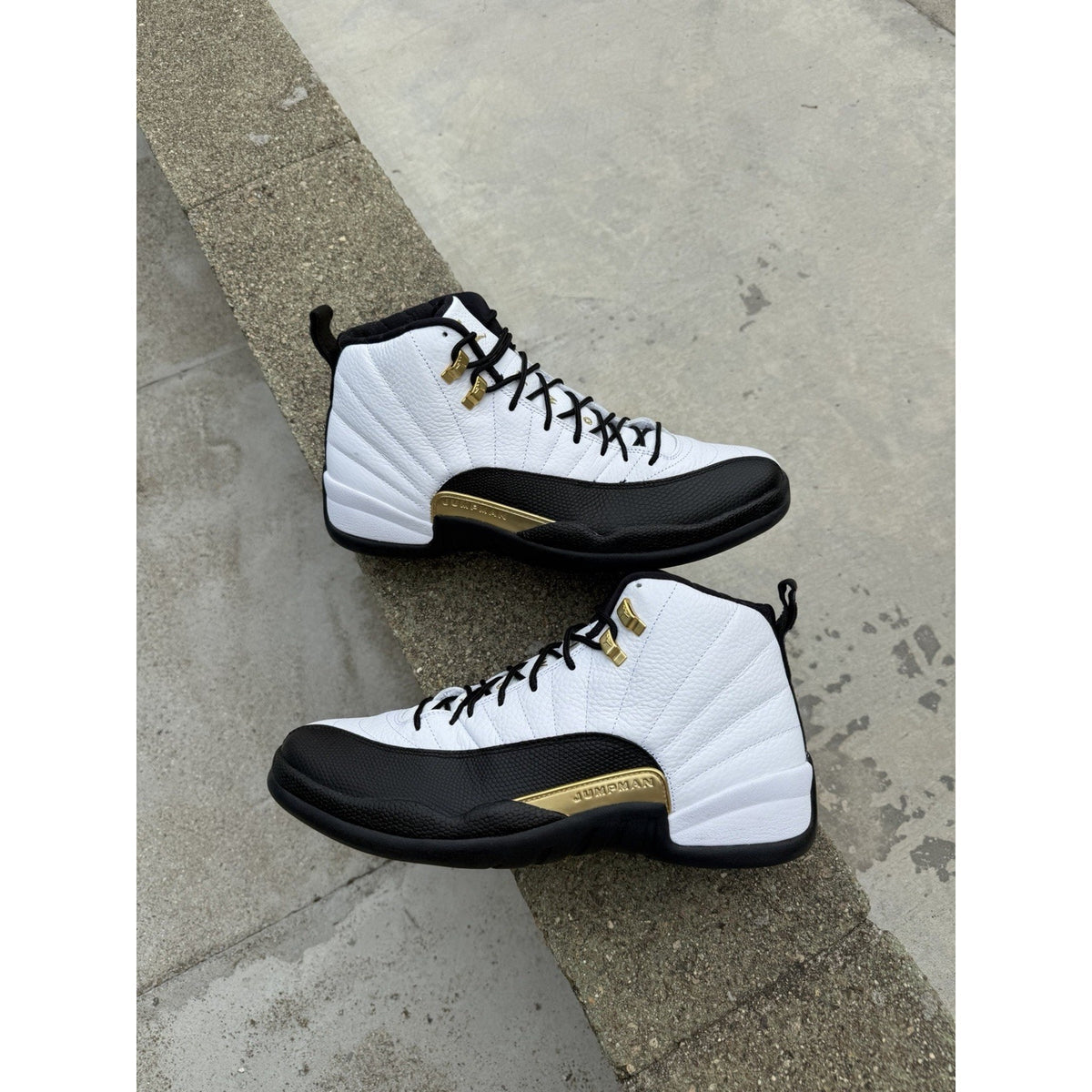 Size 13 - Jordan 12 Royalty