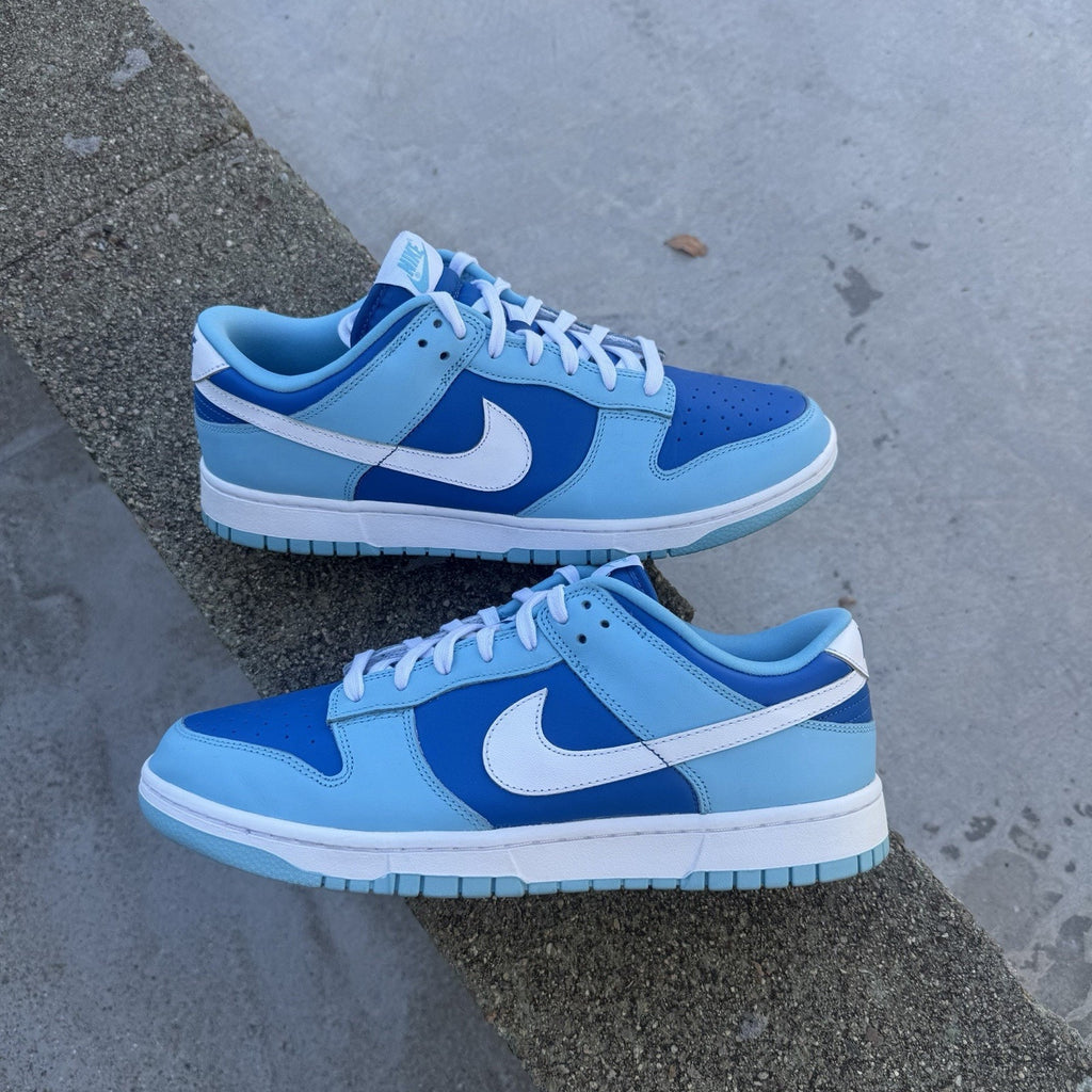 Size 10.5 - Nike Dunk Low Retro QS Argon