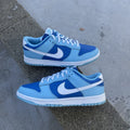 Size 10.5 - Nike Dunk Low Retro QS Argon