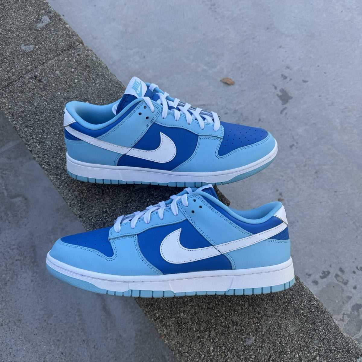 Size 10.5 - Nike Dunk Low Retro QS Argon