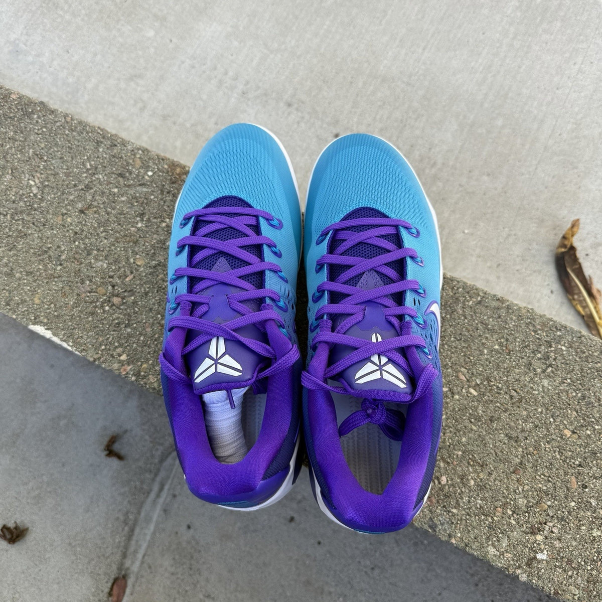 Size 10 - Nike Kobe 9 Elite Low Hornets