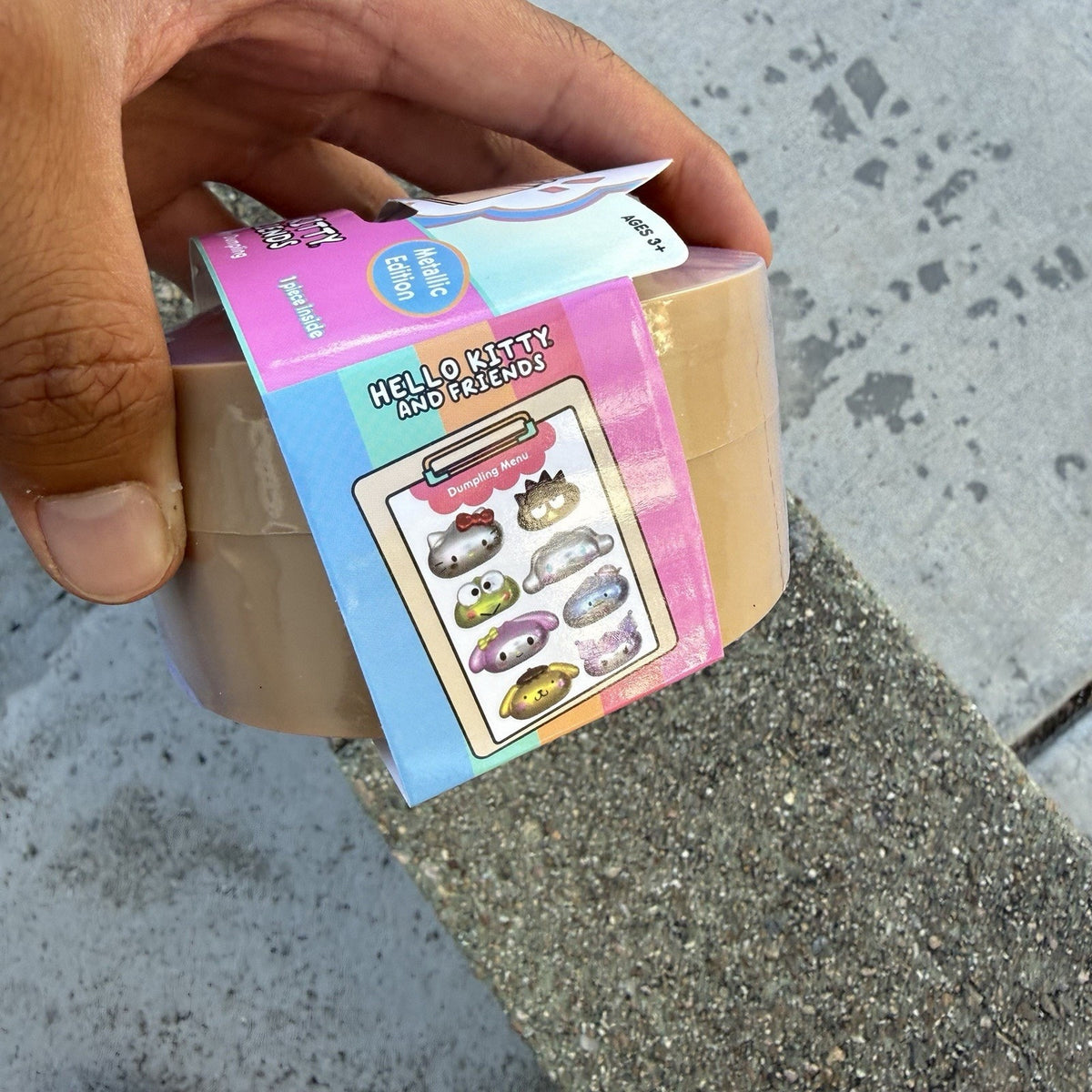 Viral Mystery Dumpling Hello Kitty Metallic Edition!